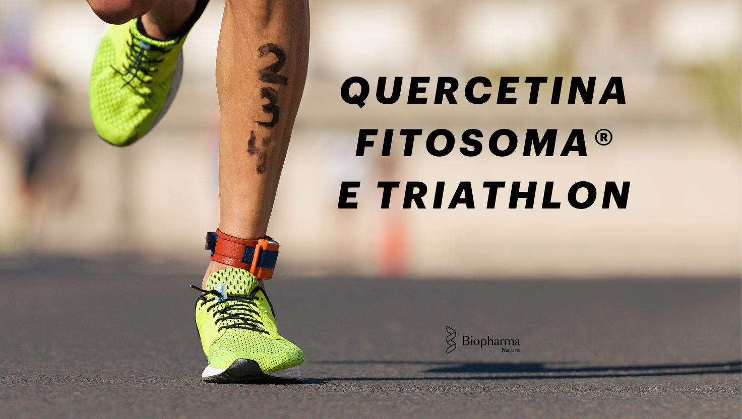Triathlon e Integratori. 1 segreto naturale: la Quercetina Fitosoma®.